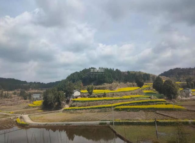 龙台村位于盐亭县黄甸镇东南部,全貌形似一艘帆船,字库塔则宛若船的