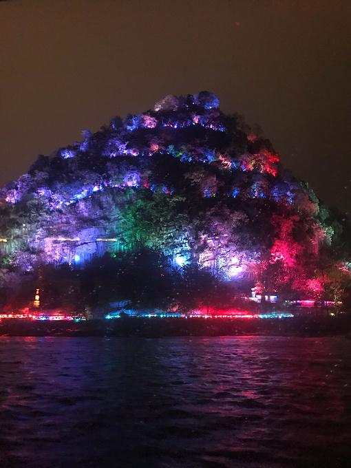 照明|没想到，居然这么多动物被“亮”死了……