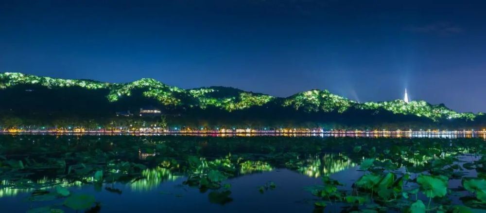 照明|没想到，居然这么多动物被“亮”死了……