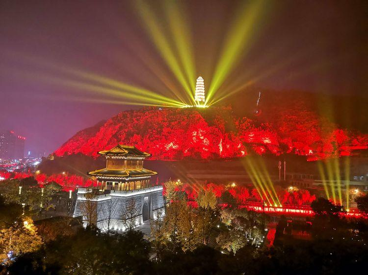 照明|没想到，居然这么多动物被“亮”死了……