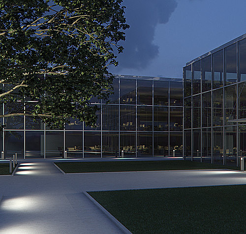 照明|没想到，居然这么多动物被“亮”死了……