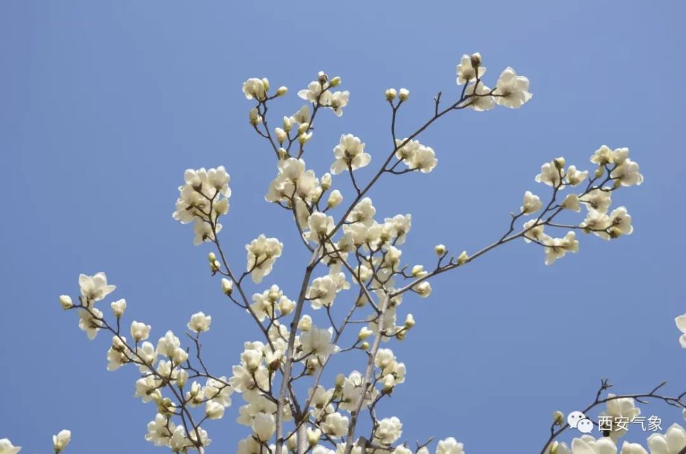 惊蛰|今日惊蛰，万物复苏