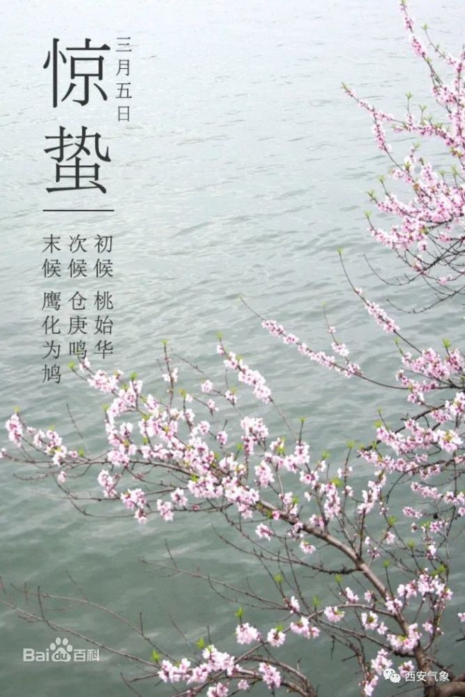 气温起伏不定明日惊蛰节气到