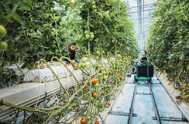 冰岛|绿色、低碳、循环发展…看冰岛人如何操作