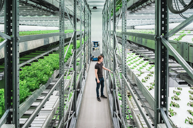 冰岛|绿色、低碳、循环发展…看冰岛人如何操作