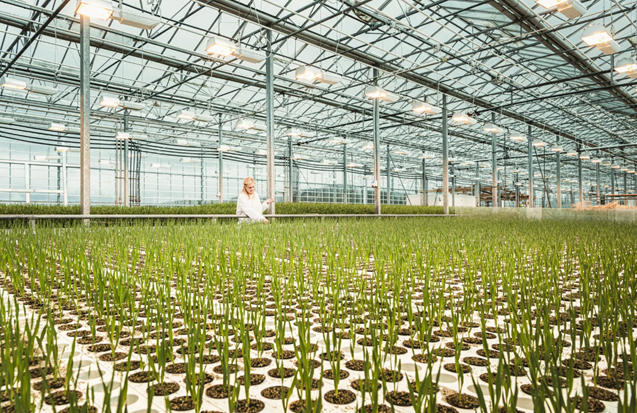 冰岛|绿色、低碳、循环发展…看冰岛人如何操作