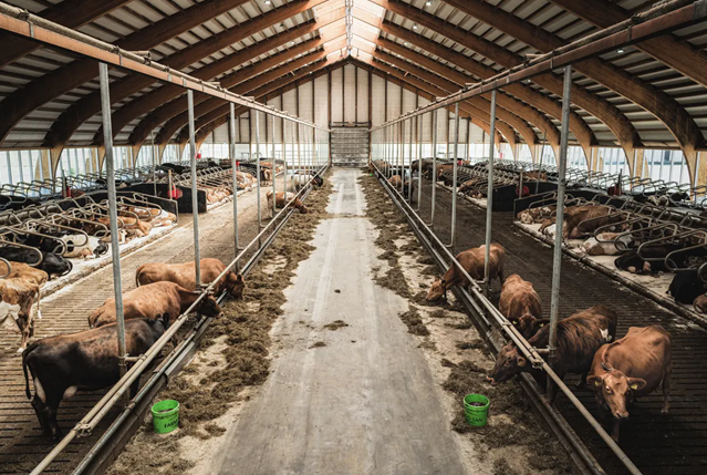 冰岛|绿色、低碳、循环发展…看冰岛人如何操作