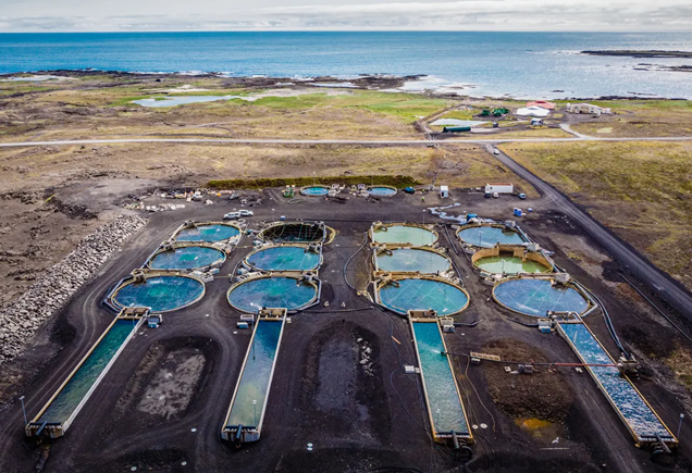 冰岛|绿色、低碳、循环发展…看冰岛人如何操作