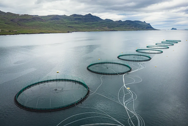 冰岛|绿色、低碳、循环发展…看冰岛人如何操作