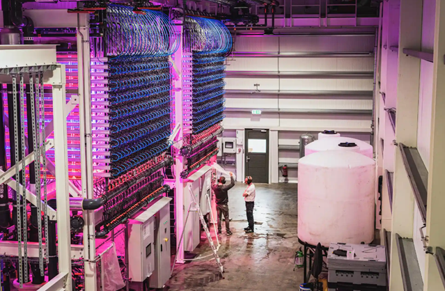 冰岛|绿色、低碳、循环发展…看冰岛人如何操作