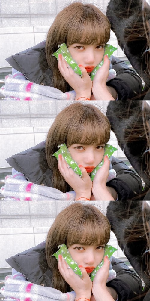 lisa壁纸合集|"人间芭比"