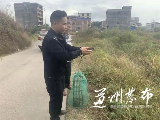 永州道县仙子脚灭门案图片