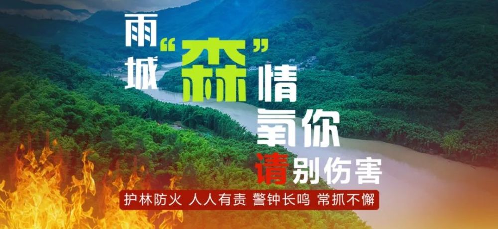 消之宝
