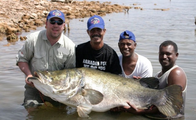 好吃又经济非洲鲈鱼被引入维多利亚湖结果把它们吃到200公斤