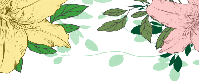 春色旖旎 想把洋河的春天打包送给你 洋河 美酒 鲜花