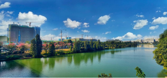 图说乐从|乐从赏花"地图"更新!琴湖公园花开正盛