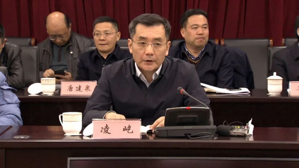 全国人大代表 凌屹会带去哪些南通的声音?