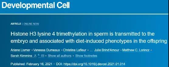 叶酸|新研究发现：备孕男性也需要补充叶酸，有利于新生儿的健康