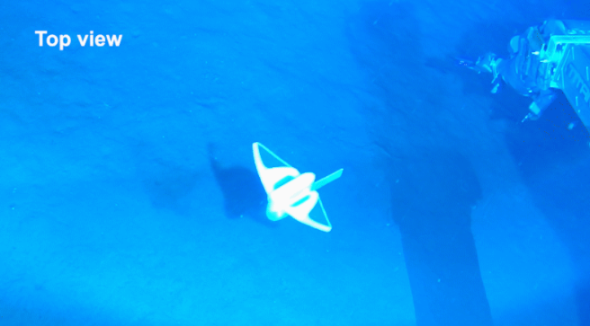 软体机器人|《自然》发布中国科研团队成果：软体机器人潜入世界海洋最深处