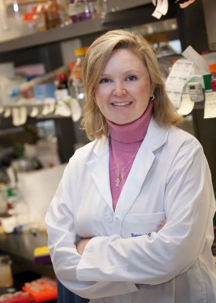 癌细胞|“冬眠”！伪装！揭开癌细胞的神秘面纱，消灭癌症从抑制自噬开始