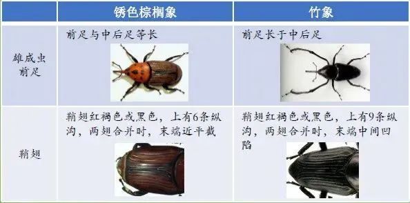 桂林|官方叫停！又一骗局曝光，桂林大批人被坑惨！