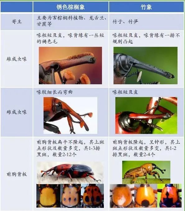 桂林|官方叫停！又一骗局曝光，桂林大批人被坑惨！