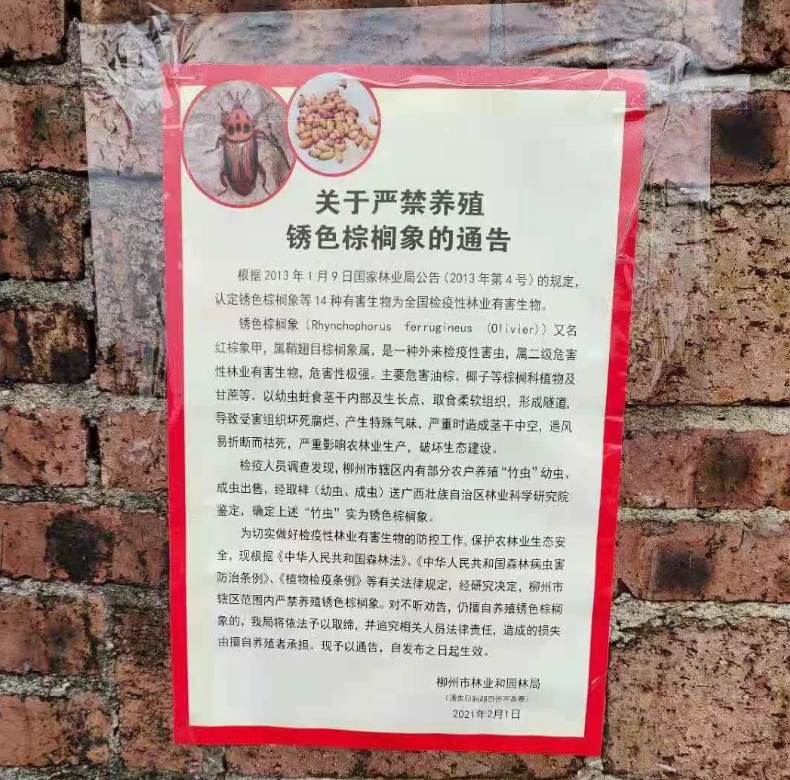 桂林|官方叫停！又一骗局曝光，桂林大批人被坑惨！