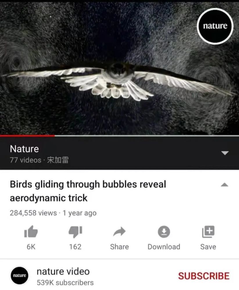 宋加雷|研究成果被《自然》杂志媒体频道专题报道，莞工这位教师不一般