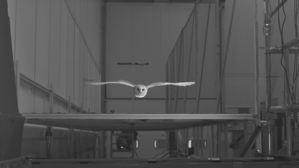 宋加雷|研究成果被《自然》杂志媒体频道专题报道，莞工这位教师不一般