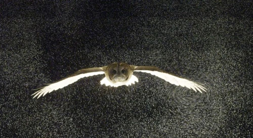 宋加雷|研究成果被《自然》杂志媒体频道专题报道，莞工这位教师不一般