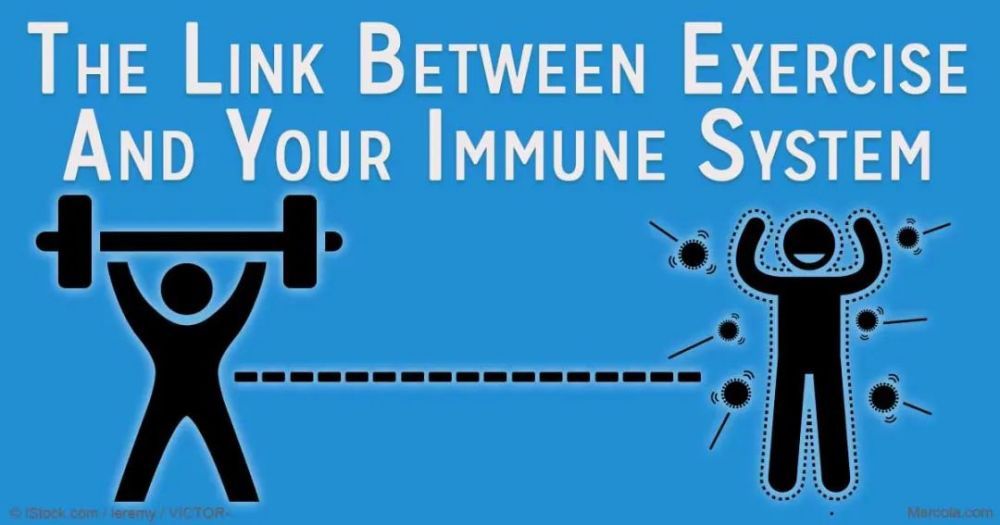 免疫|都说运动提高免疫力，你知道其生物学机制吗？研究首次重磅揭晓