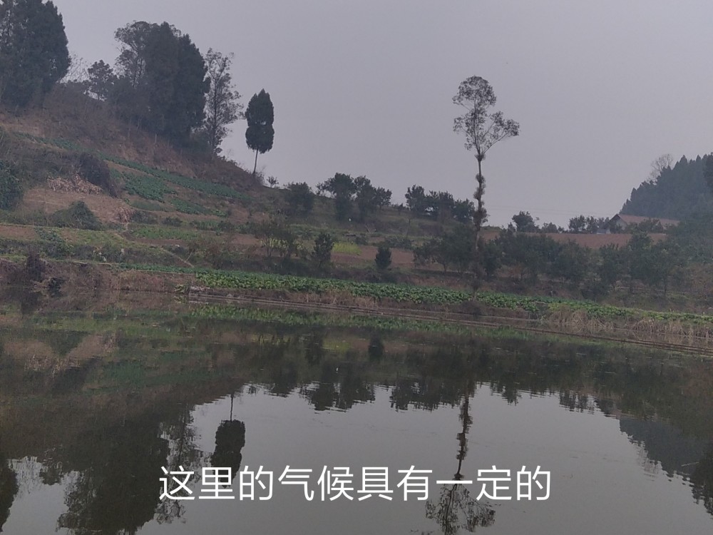 方家坝村|走进隐藏600多年的奇特村庄—四川方家坝村