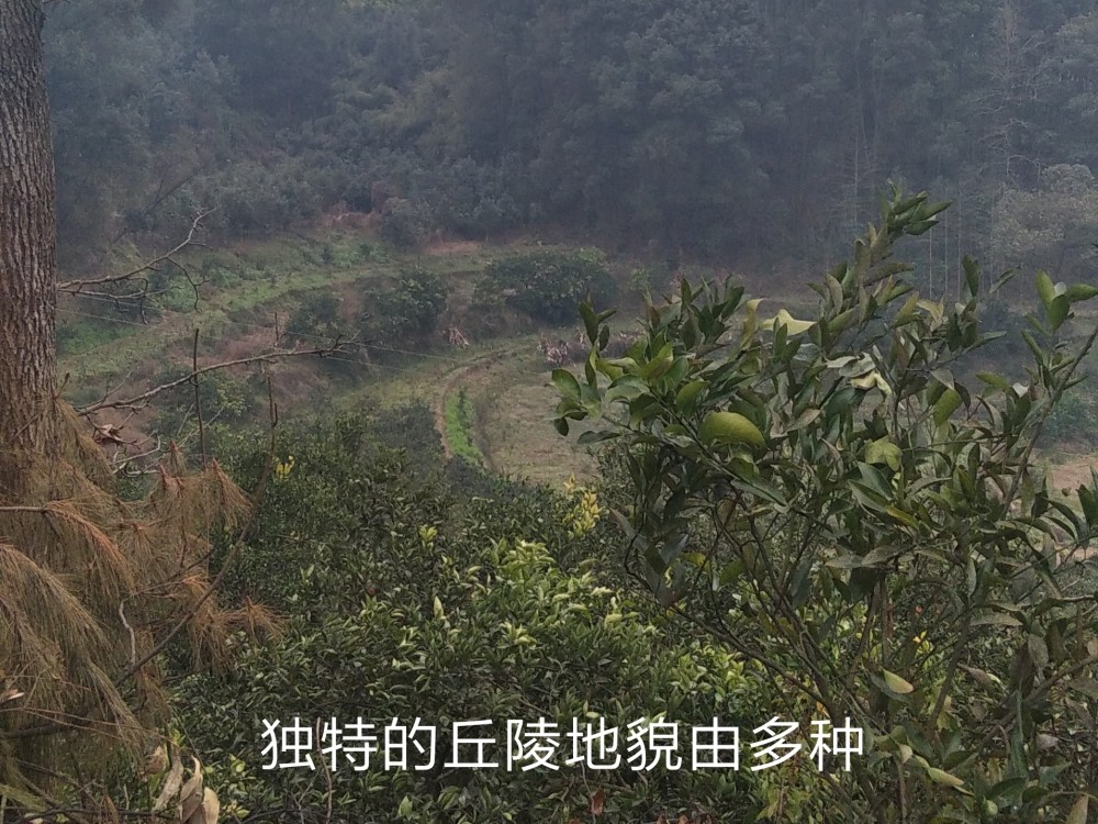 方家坝村|走进隐藏600多年的奇特村庄—四川方家坝村