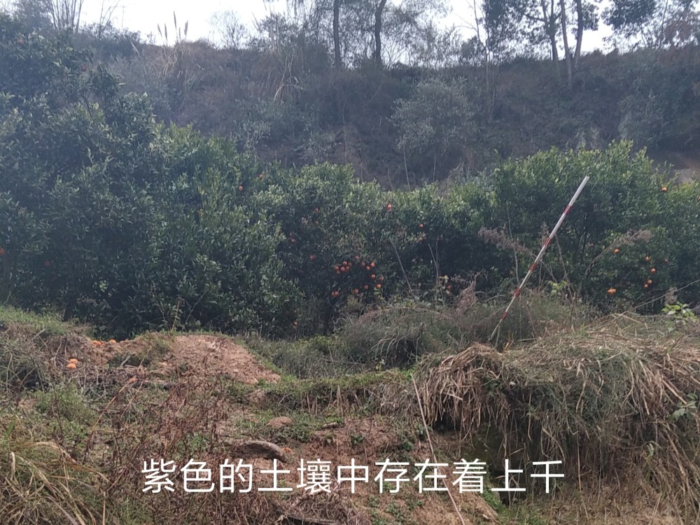 方家坝村|走进隐藏600多年的奇特村庄—四川方家坝村