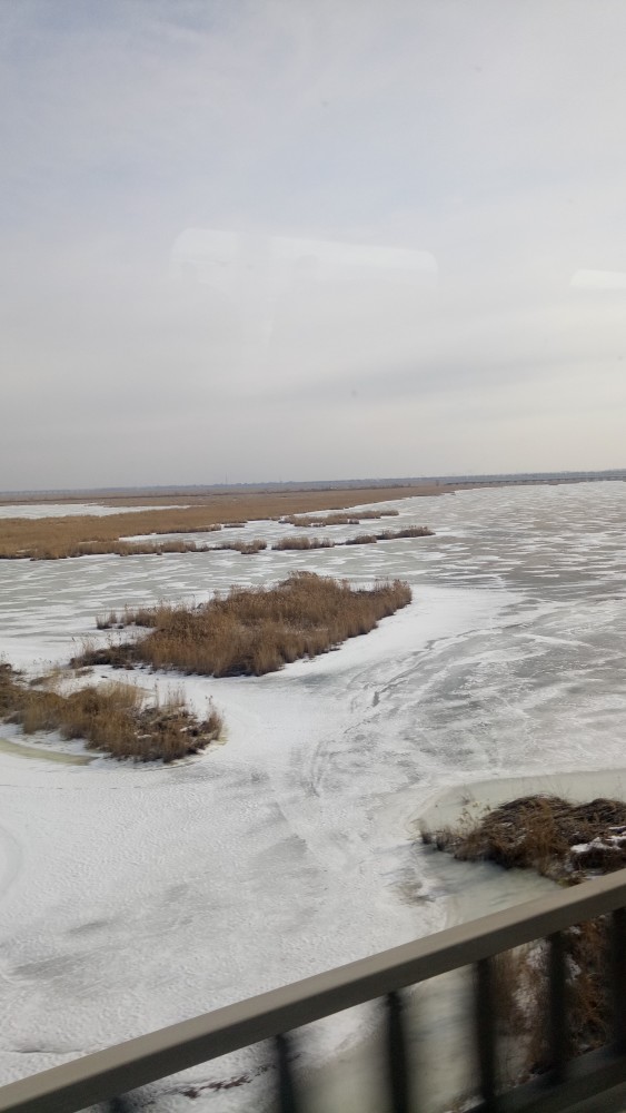 东北的山东北的水东北大庆的平原到底有多美