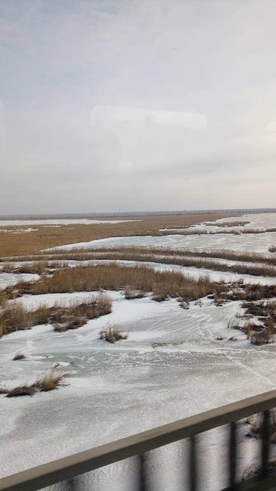 东北的山东北的水东北大庆的平原到底有多美