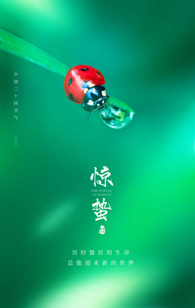 惊蛰早上好问候语