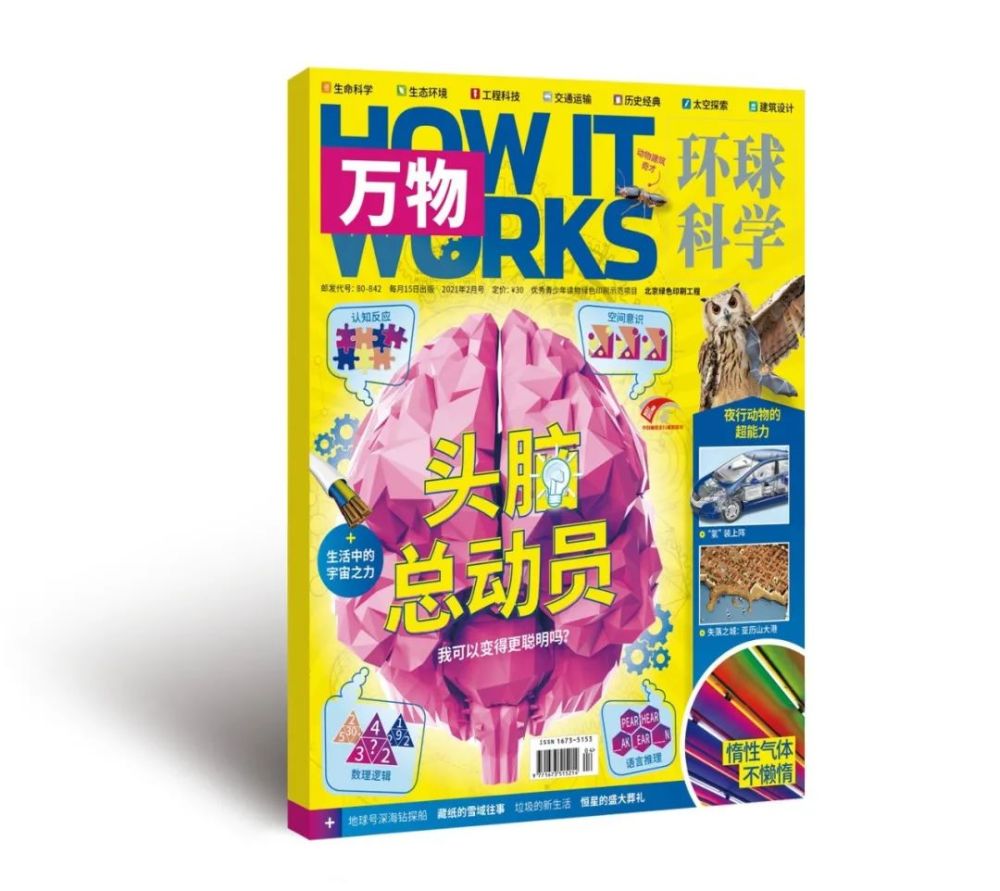 万物|《万物》2021年2月刊导读｜头脑总动员，我可以变得更聪明吗？