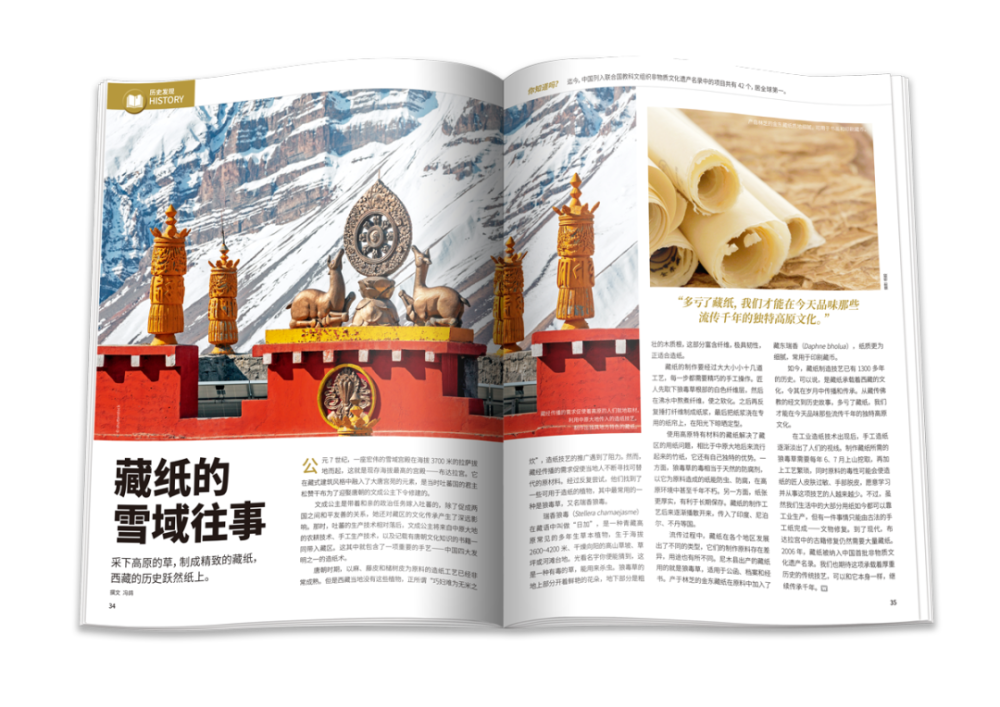 万物|《万物》2021年2月刊导读｜头脑总动员，我可以变得更聪明吗？