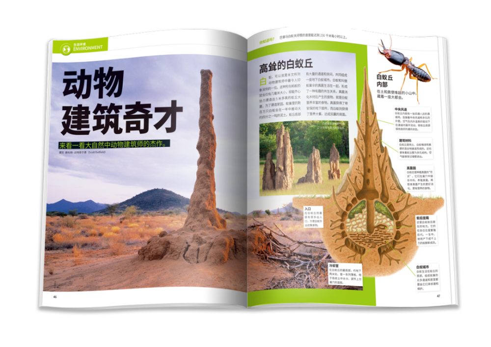 万物|《万物》2021年2月刊导读｜头脑总动员，我可以变得更聪明吗？