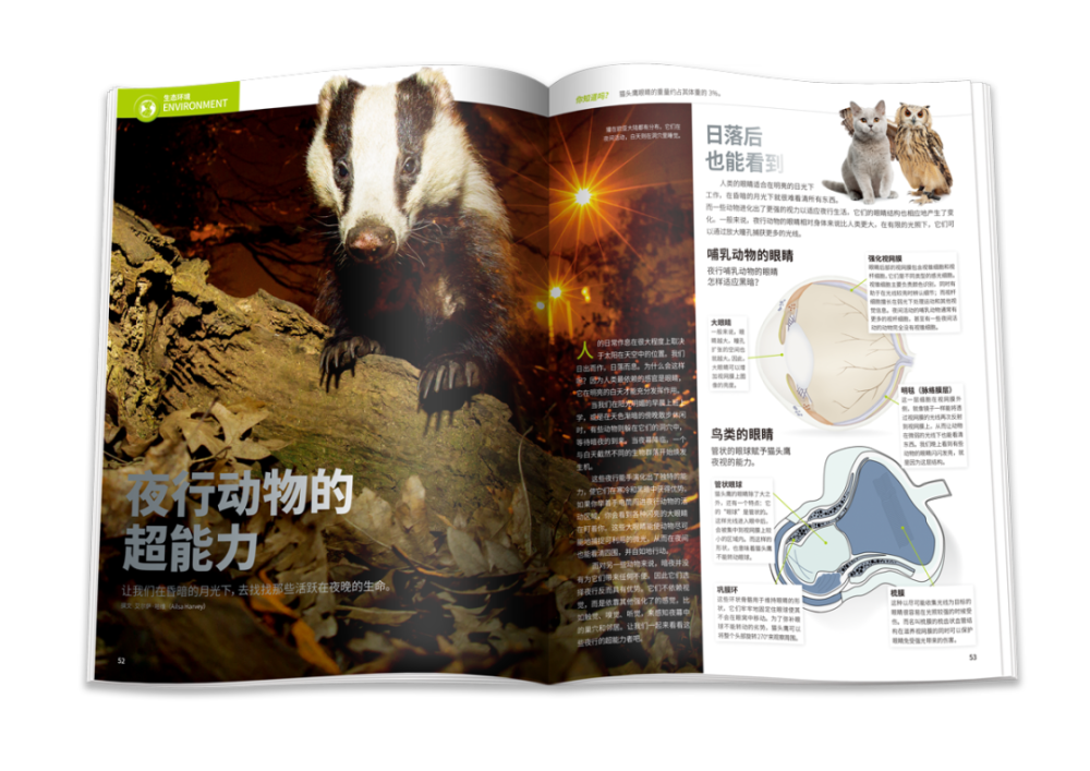 万物|《万物》2021年2月刊导读｜头脑总动员，我可以变得更聪明吗？