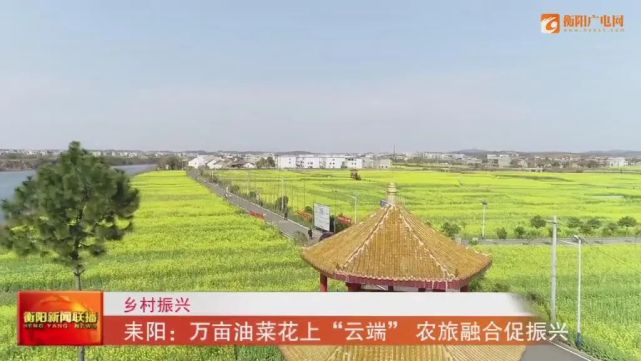 耒陽市首屆雲上油菜花節暨第二屆消費扶貧展銷會,土菜美食節在新市鎮