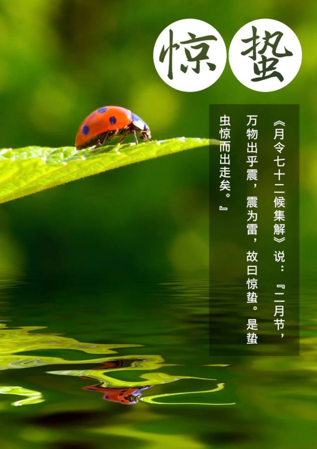 2021年3月5日惊蛰节气惊蛰一声雷,万物复苏生春光灿烂,百鸟归来而当第
