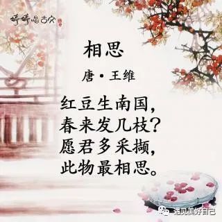 云中人路内_云中人什么意思_云中人诗句