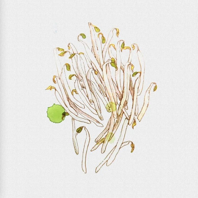 一味药|【每日一味药】绿豆芽