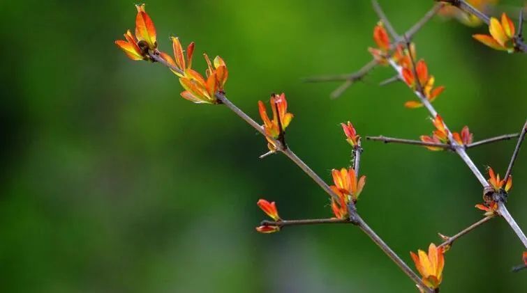 21年3月7日干支运势分析 腾讯新闻