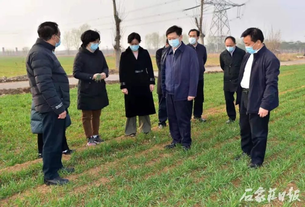 市领导罗利,高玉柱,鹿泉区和市直有关部门负责同志参加调研.