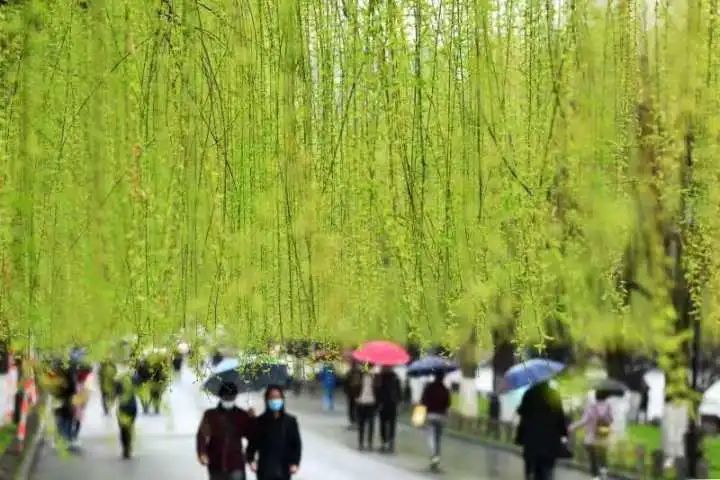 杭州这场雨要下到什么时候 腾讯新闻