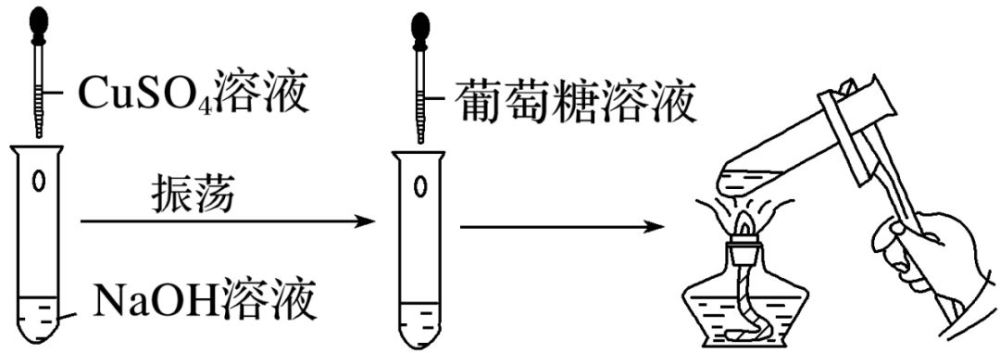 完成下列實驗:在人體內緩慢氧化,提供人體活動所需能量,寫出葡萄糖在