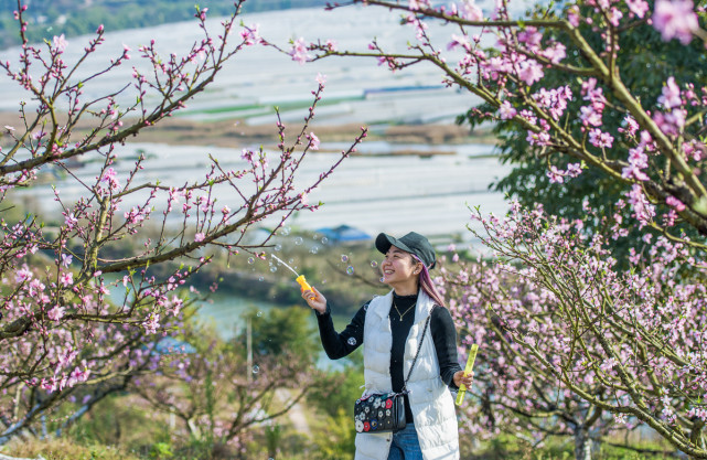 重庆最美的桃花观赏地 潼南半坡山桃树已花开成海 真的太美啦 腾讯网